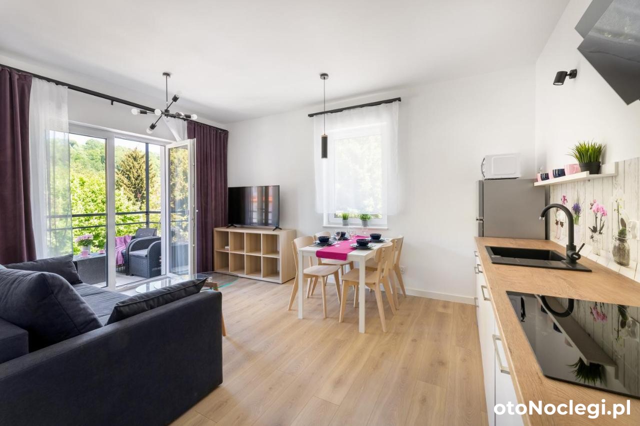 Apartamenty Wczasowa Kudowa-Zdrój (17)