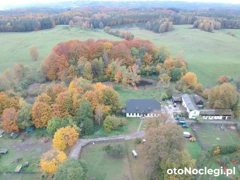 DWÓR Warblewo Warblewo (10)