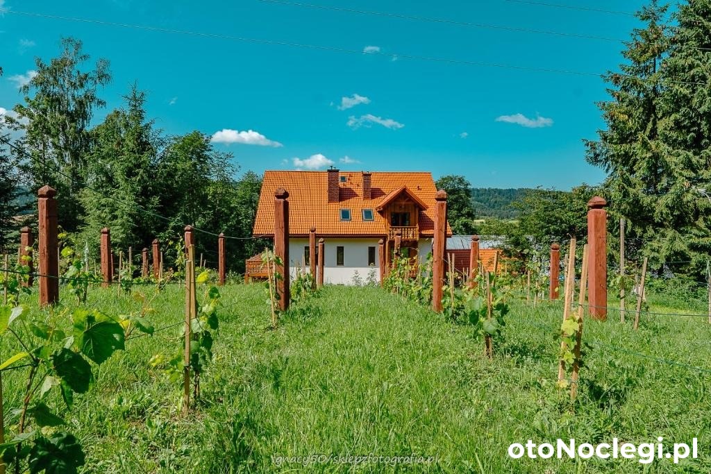 Ranczo w Rabe Rabe, Zadwórze (1)