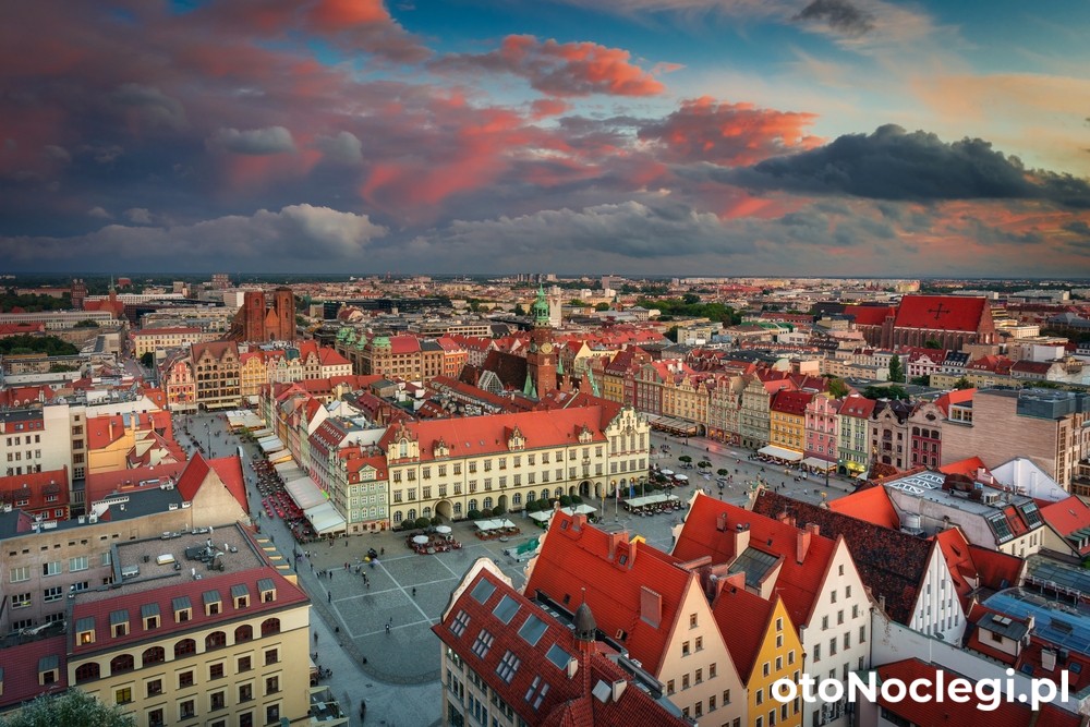 Agroturystyka Alpaka (1)