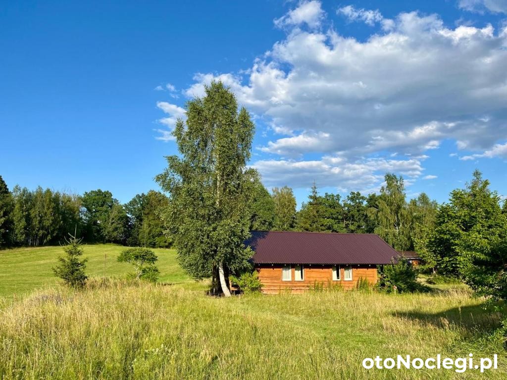 SŁOŃCE MAZUR Budy (12)