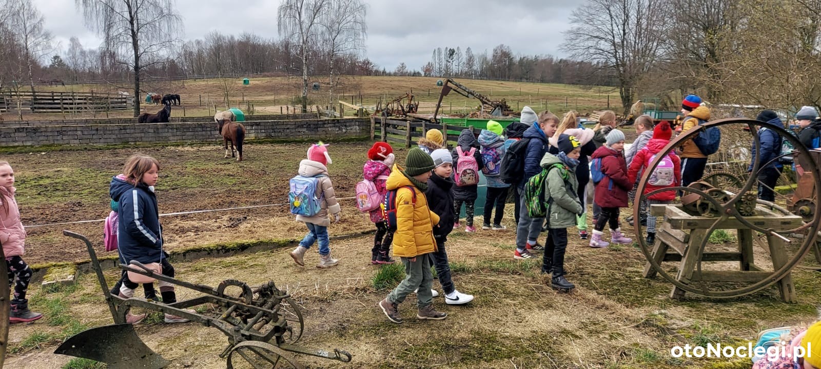 DWÓR Warblewo Warblewo (3)