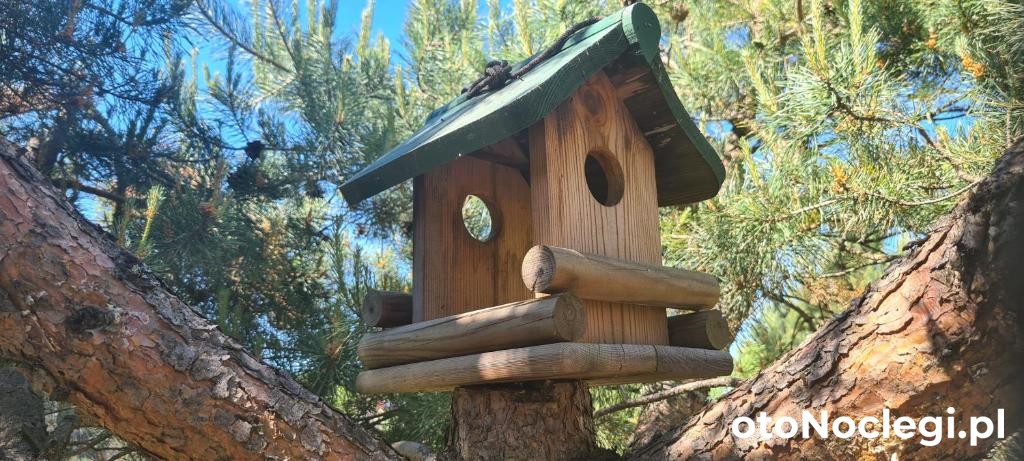 Domek Adam Kościerzyna (28)