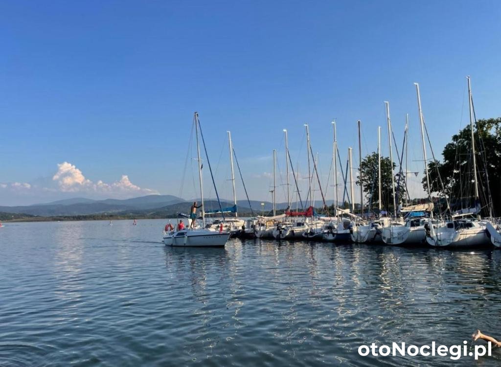 Apartament Loft Zarzecze (25)