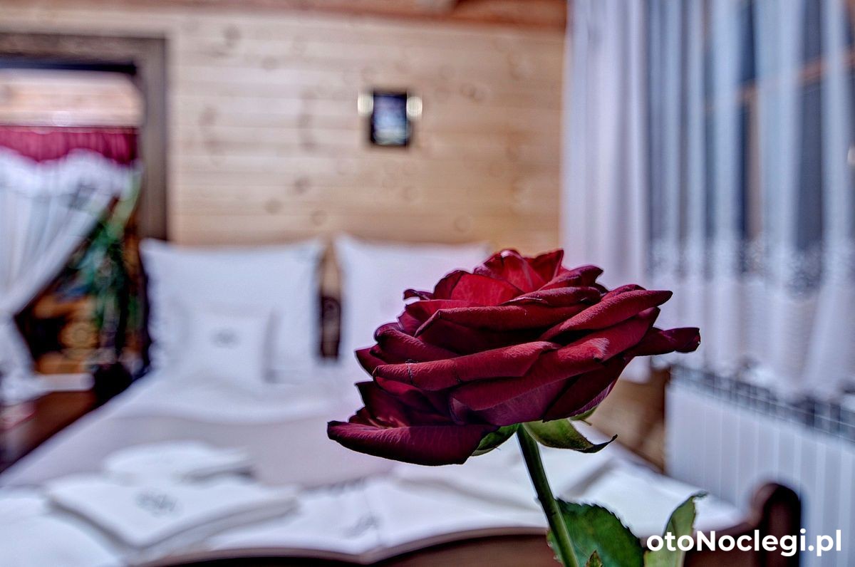 Willa Topór Witów (6)