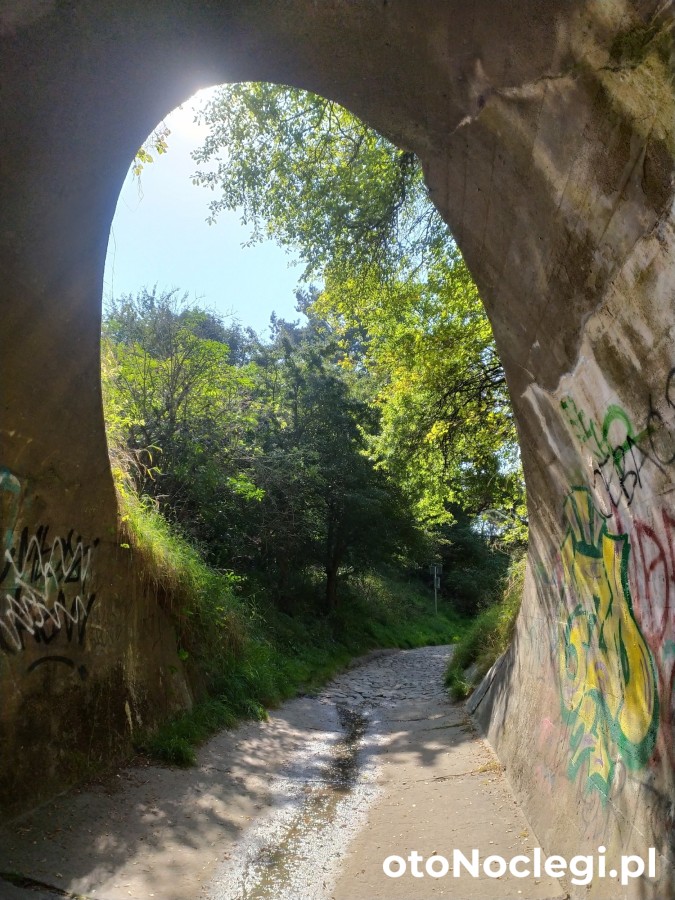 Wczasy Sandi Władysławowo (22)