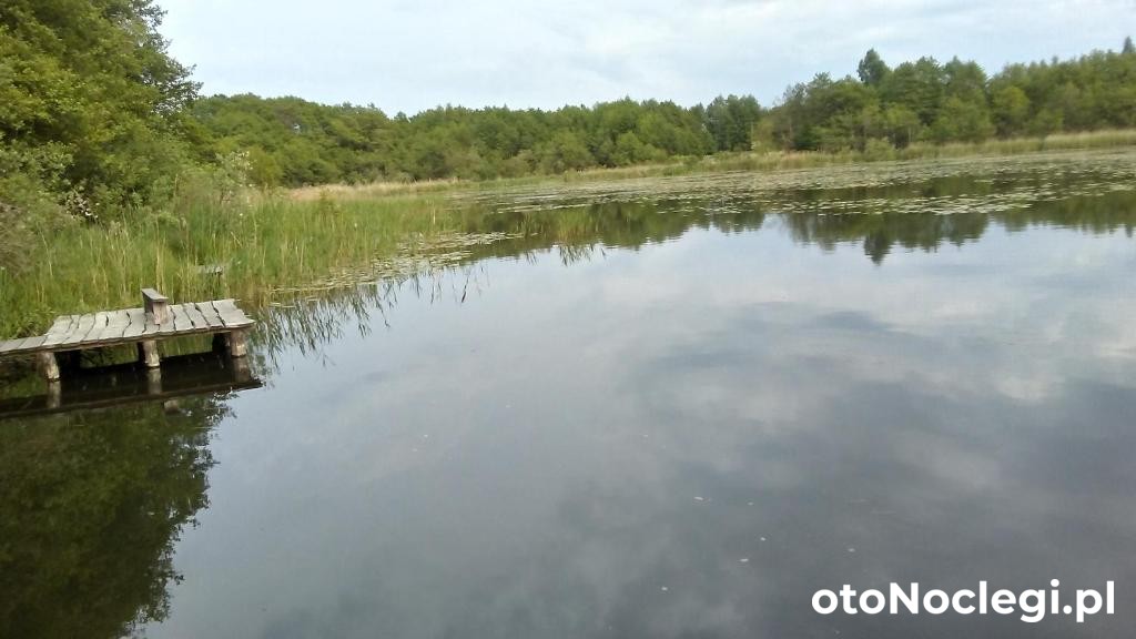 Domki Letniskowe Zygmunt Kopalino (27) Domki Letniskowe Zygmunt Kopalino (27)