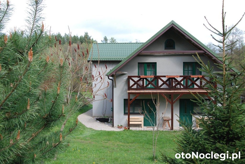 Zielony Koń Agroturystyka - Borowski Las (1)