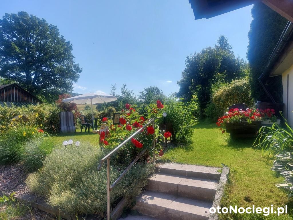 Noclegi Ali (1)