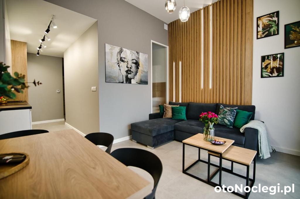 Apartament Loft Zarzecze (26)