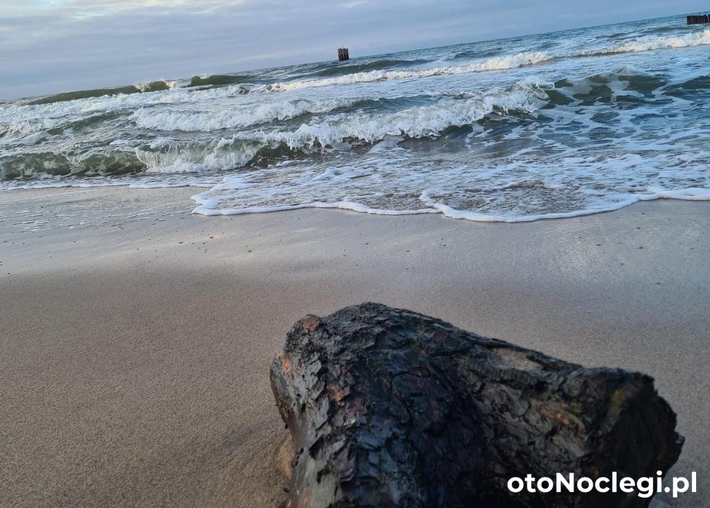 Apartament Turkusowy w Mielnie  Mielno (37)