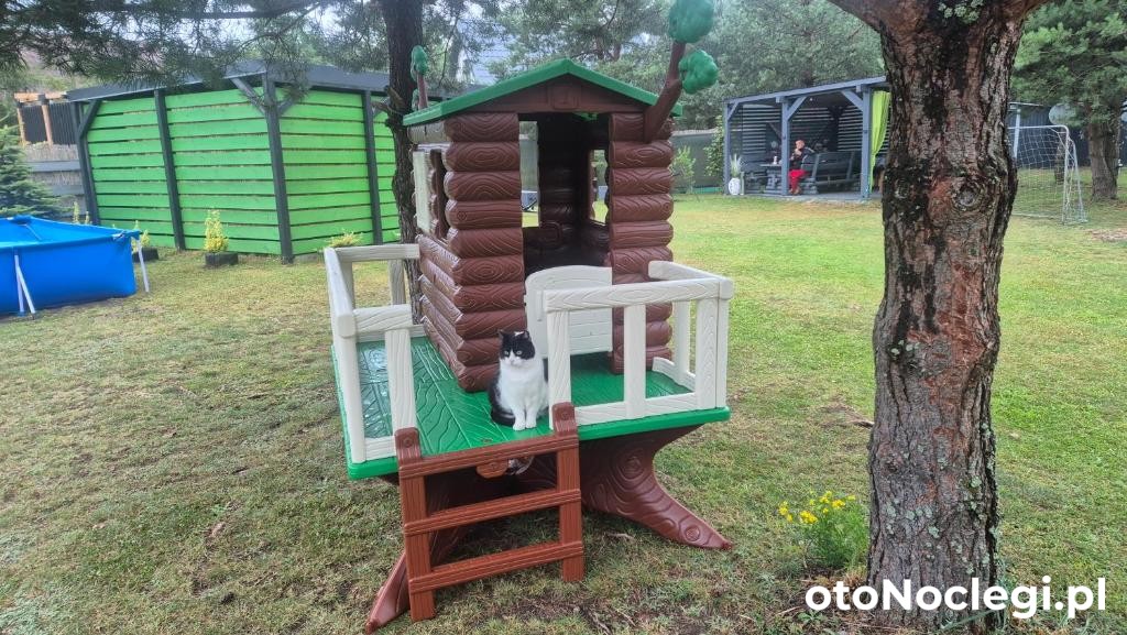 Domek Adam Kościerzyna (19)