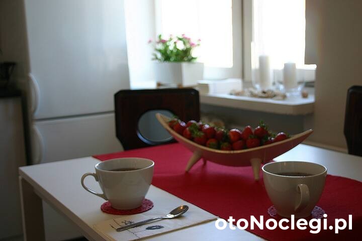 Baltica Apartament Gdańsk (7)