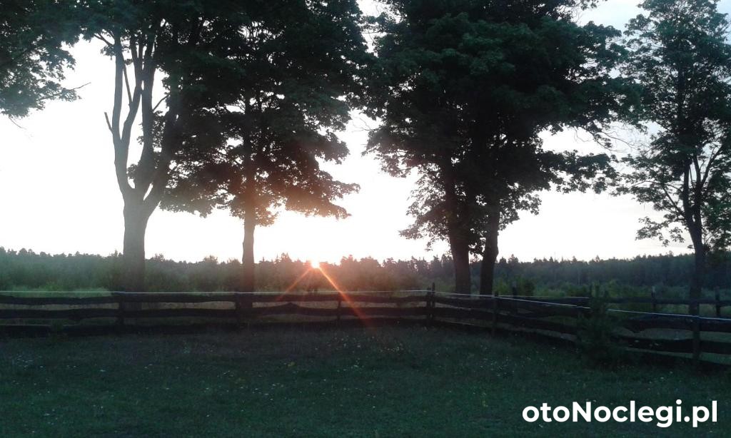 Gościniec Tymawa Tymawa (19)