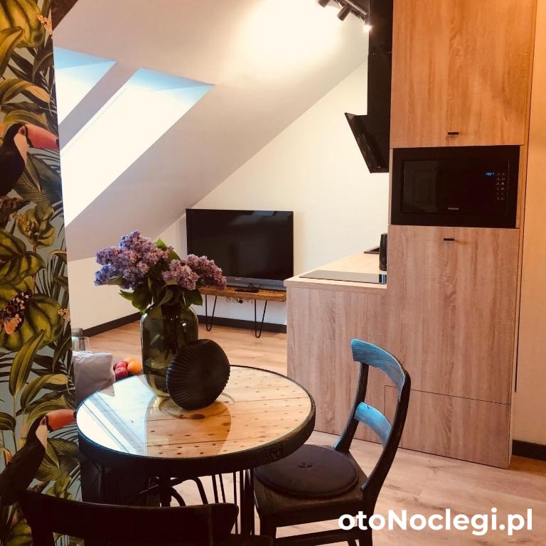 Apartamenty Nadbrzeże Ostróda (14)