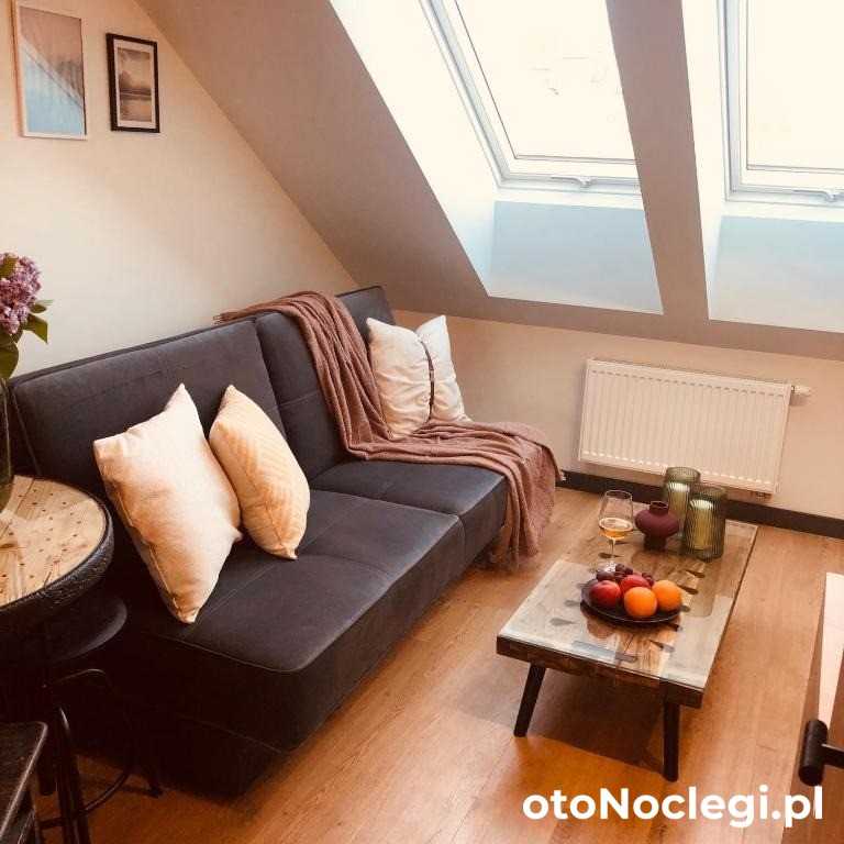 Apartamenty Nadbrzeże Ostróda (11)