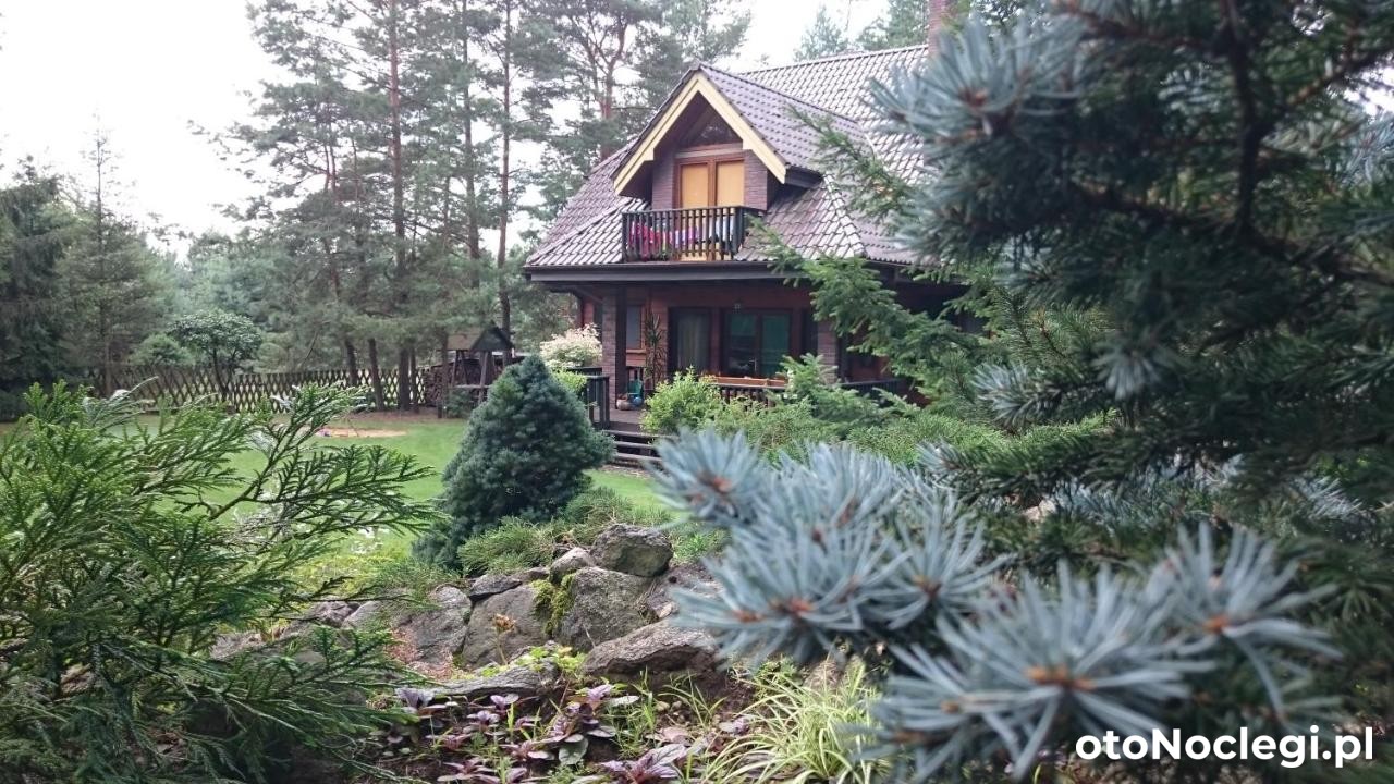 Leśna Polana Augustów (1)