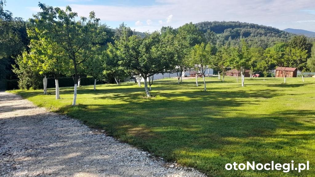 Dom Orzechówka Lądek-Zdrój (35)