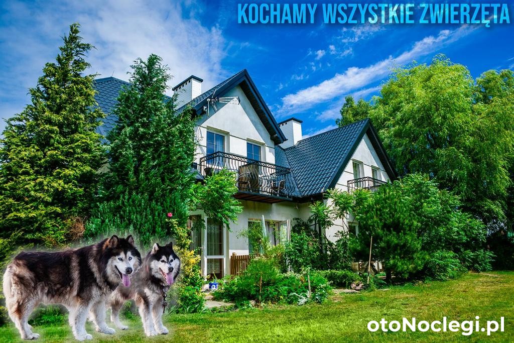 Pokoje Gościnne Pszczółka, Babiogóra (1)