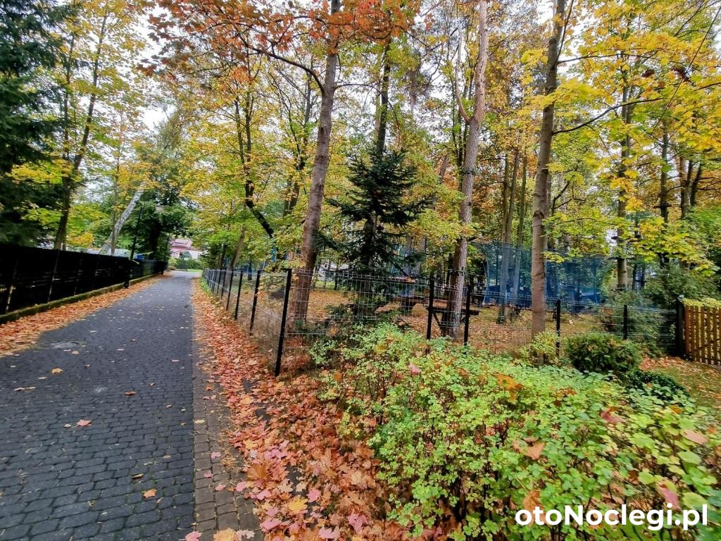 Apartament Turkusowy w Mielnie  Mielno (29)