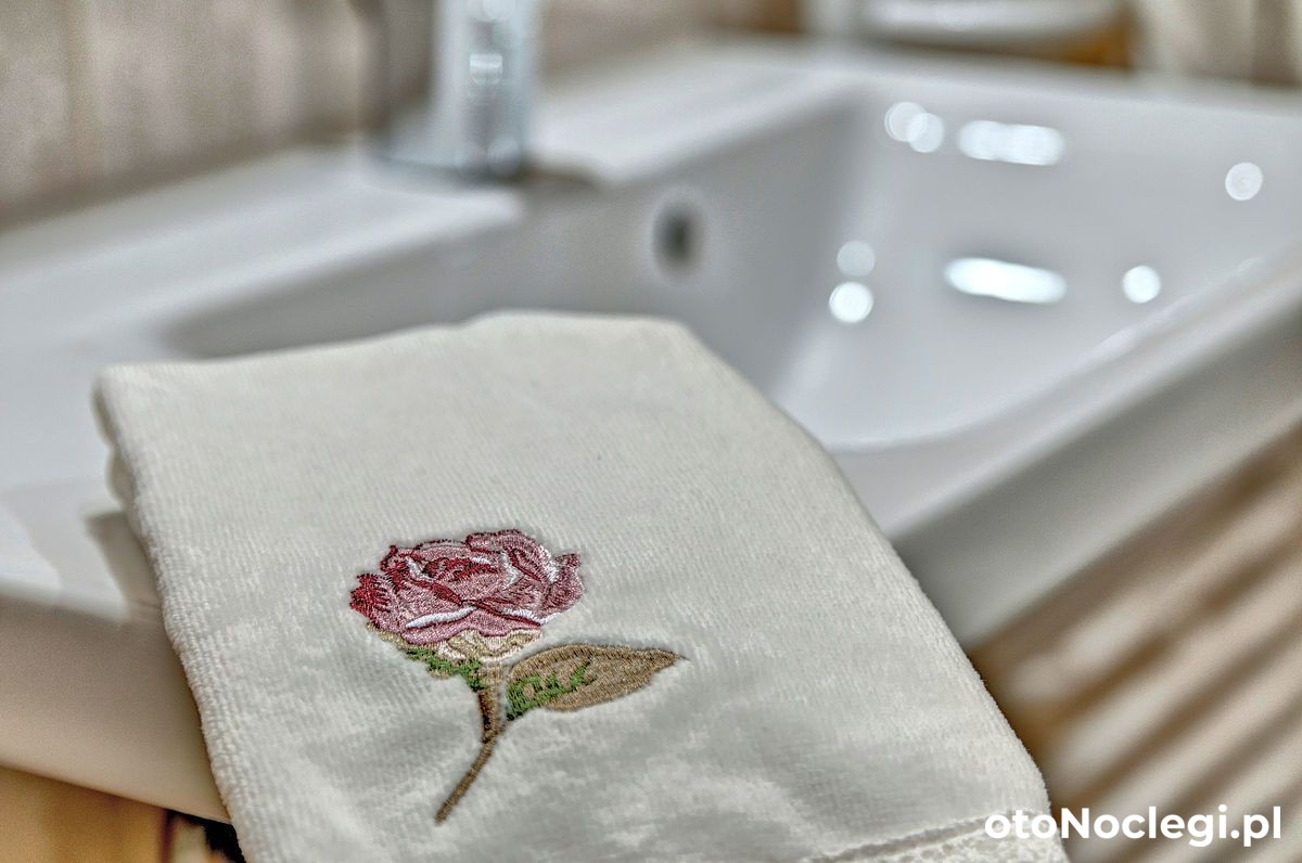 Willa Topór Witów (66)