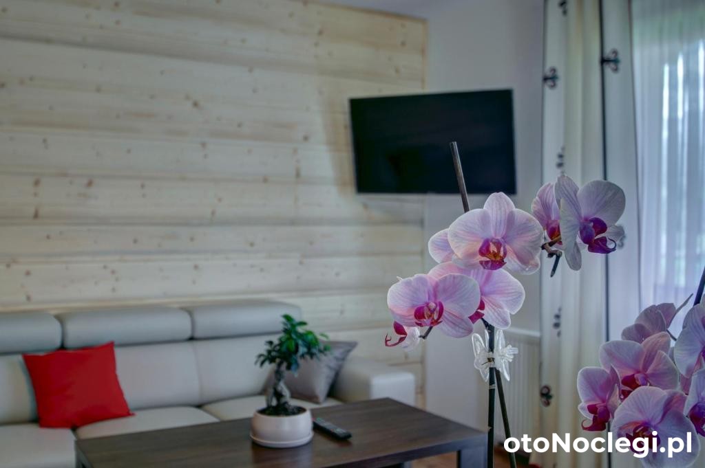 Apartamenty Gawlaki Zakopane (17)