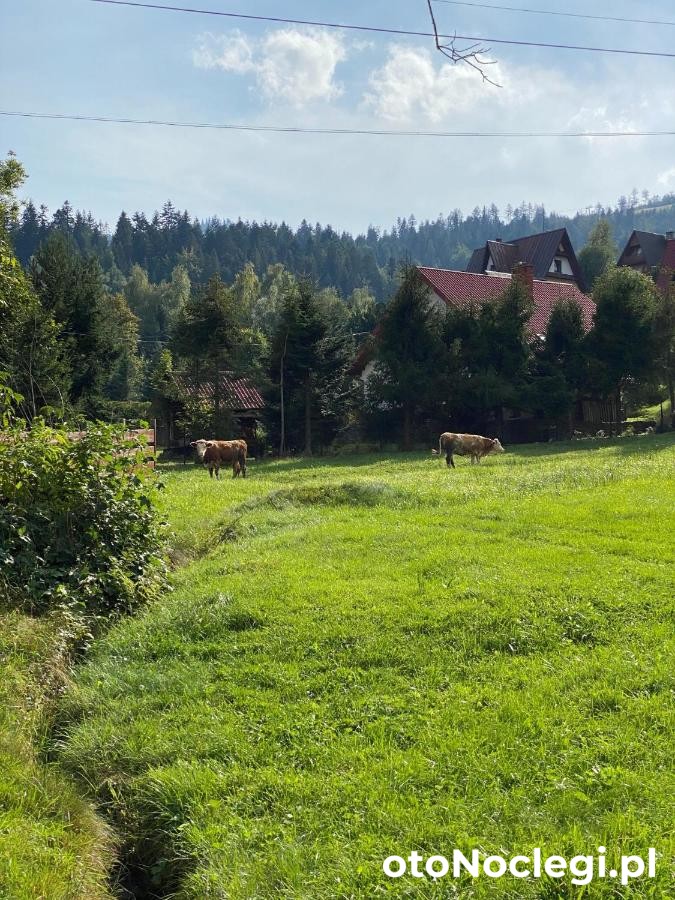 Noclegi Na Szczyrboku Korbielów (9)