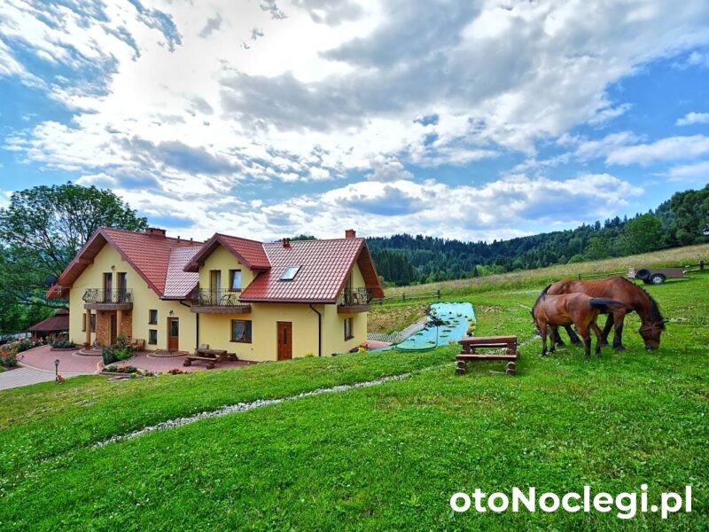 Agroturystyka Pod Łopiennikiem - Dołżyca (1)