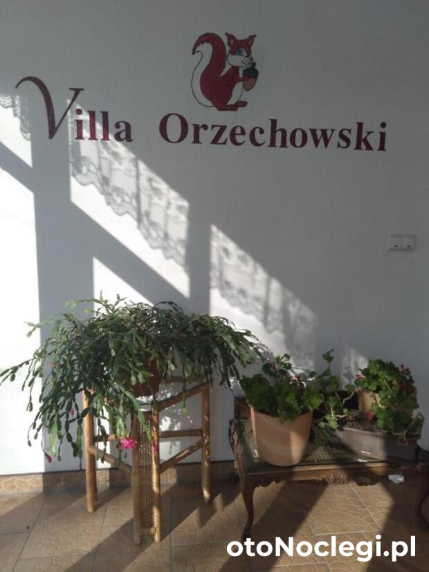 Villa Orzechowski Wisła (11)