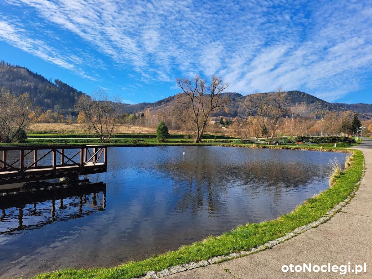 Apartament Pod Jałowcem Góry Sowie Jedlina-Zdrój (4)