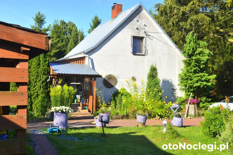 Leśna Galeria Dawniej Agroturystyka U Mateusza,Sarbsk (1)