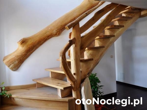 Siedlisko Nad Toplami Darżkowo (6)