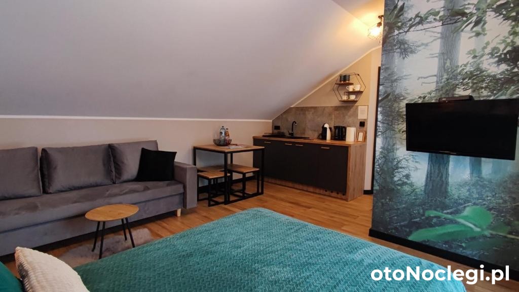 Apartament Olimpijska 54 - Szczyrk (1)