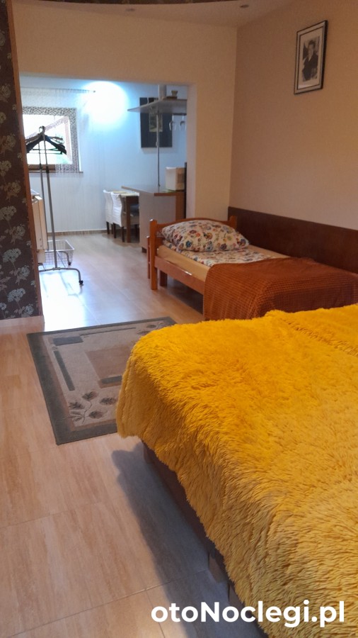 WILLA GRACJA Wisła Wisła (13)