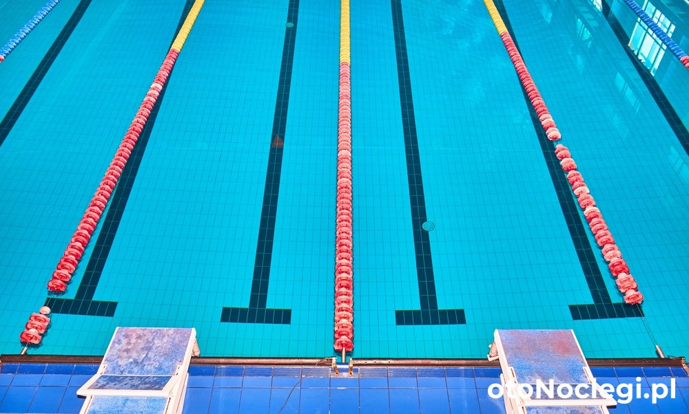 Bogdan Pigulyak/shutterstock (1)