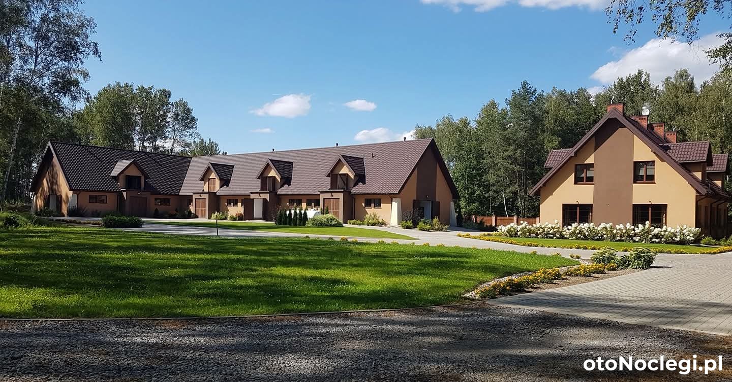 Stajnia Yke – Petrykozy (1)