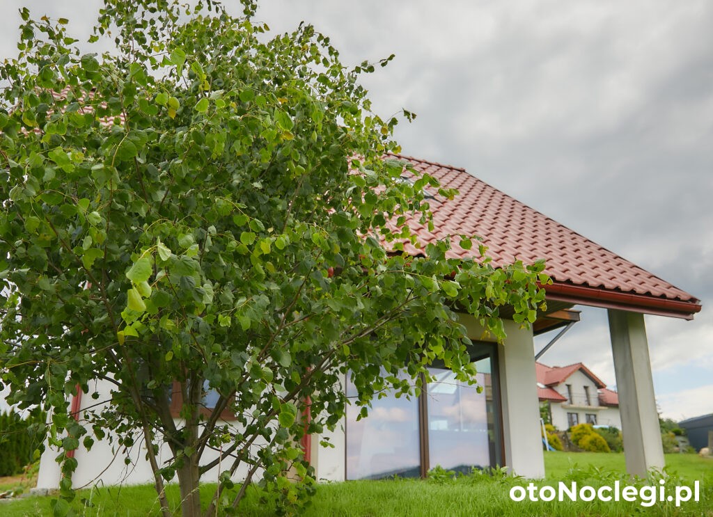 Domek Orłówka, Jaworzna (1)