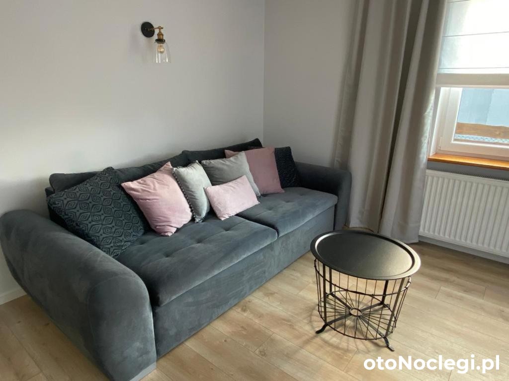 Zaciszne Domki Apartamenty Wicko (11)