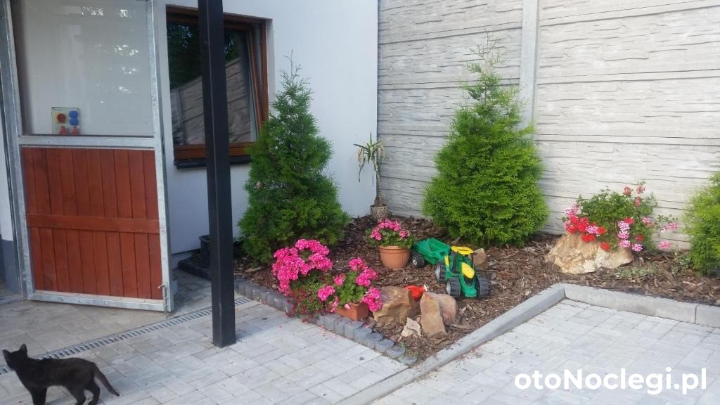 Agroturystyka Stylowy Pokój w Stajni Krajno Zagórze (30)