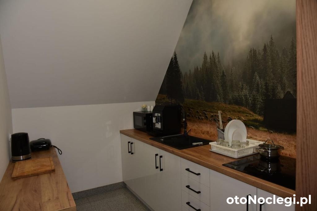 Dom Pod Wierzbami Białka Tatrzańska (7)