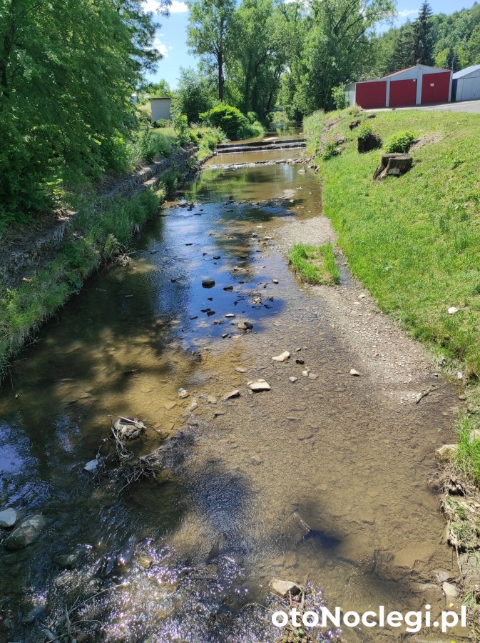 Domki całoroczne Bieszczady Panasiewiczówka Odrzechowa (29)