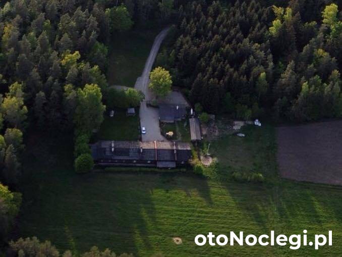 Zielony Gościniec, Giby (1)