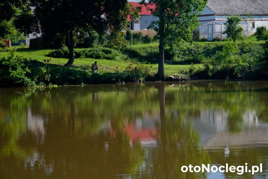 Agroturystyka Pod Lipą Frampol (9)