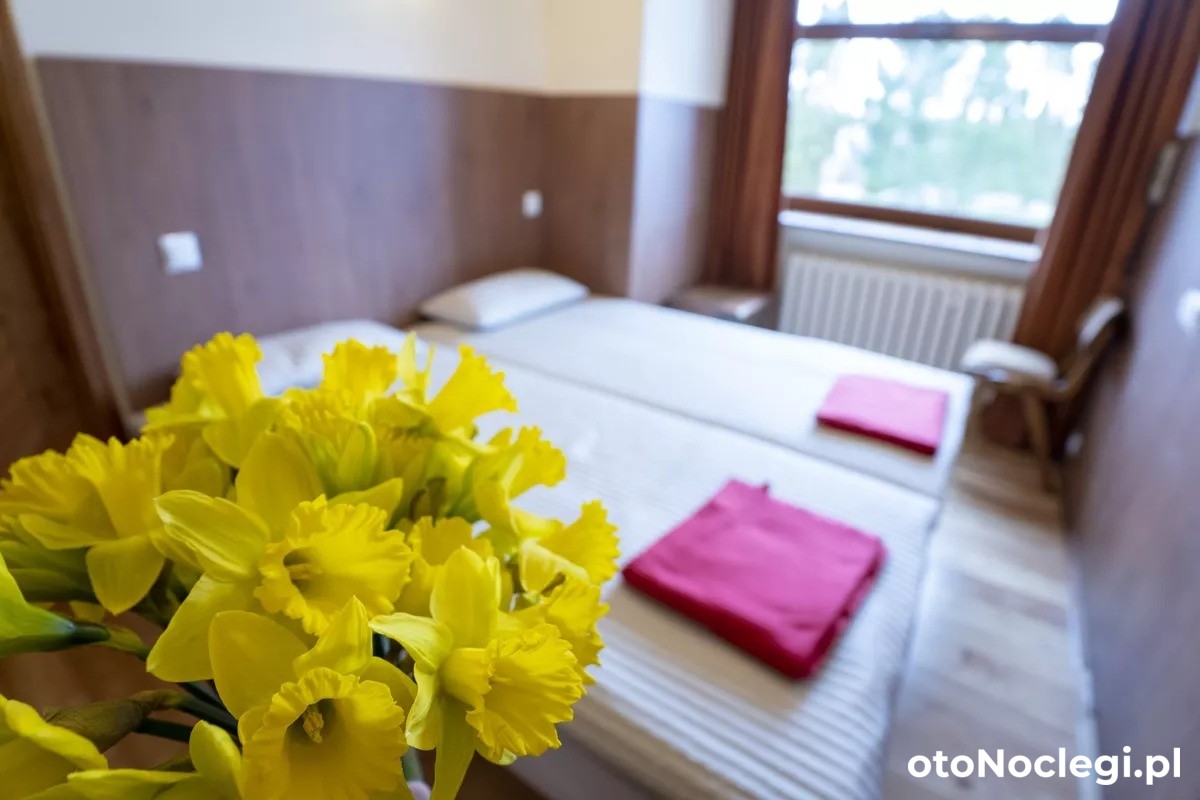 Apartamenty Alina i kort tenisowy Kartuzy (54)