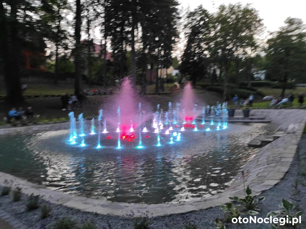 Apartament Pod Jałowcem Góry Sowie Jedlina-Zdrój (23)