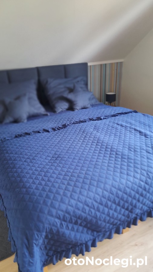 WILLA GRACJA Wisła Wisła (60)