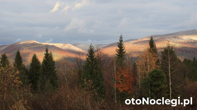 Osada Magury Wetlina (29)