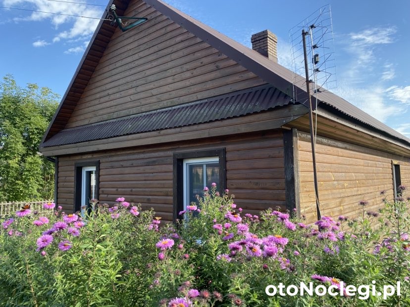 Domek na skraju puszczy (1)
