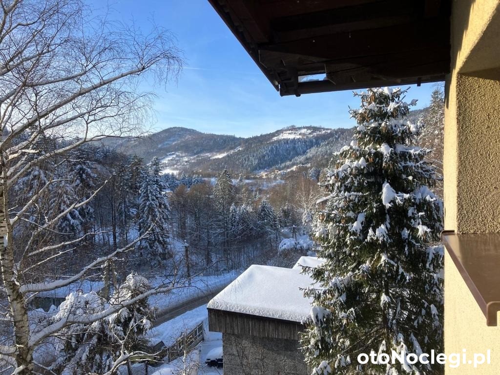 Niezapominajka Szczyrk (14)