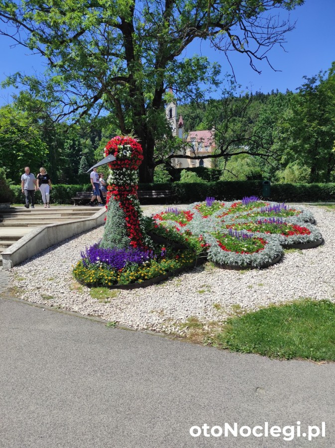 Domki całoroczne Bieszczady Panasiewiczówka Odrzechowa (30)